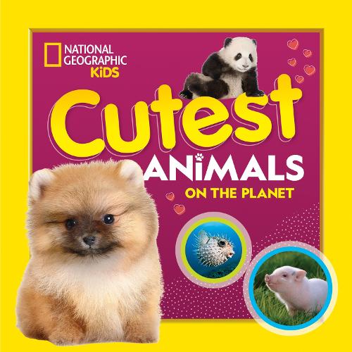 Бумажная книга «Cutest Animals on the Planet», автор Дженнифер Шимански - фото №1
