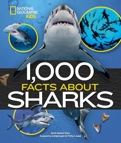 Бумажная книга «1,000 Facts About Sharks» - фото №1