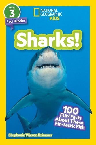 Бумажная книга «Sharks!», автор Стефани Уоррен Дриммер - фото №1