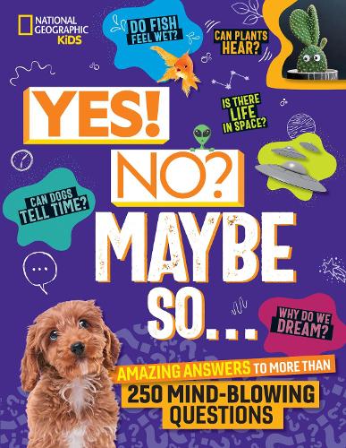 Бумажная книга «Yes! No? Maybe So...: Amazing Answers to More Than 250 Mind-Blowing Questions», автор Пейдж Таулер - фото №1