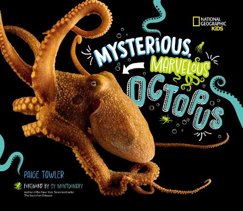 Бумажная книга «Mysterious, Marvelous Octopus!» - фото №1