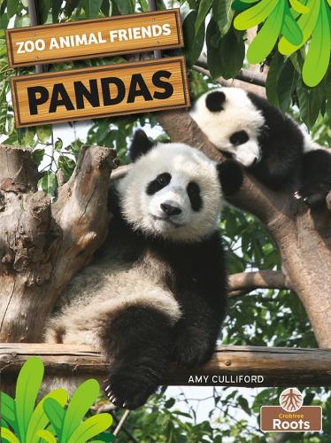 Паперова книга «Pandas», автор Емі Калліфорд - фото №1