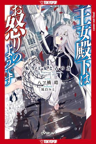 Бумажная книга «Her Royal Highness Seems to Be Angry, Volume 1 (Light Novel)» - фото №1