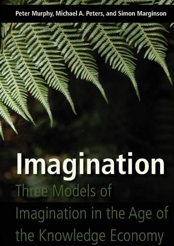 Бумажная книга «Imagination: Three Models of Imagination in the Age of the Knowledge Economy», авторов Майкл Адриан Питерс, Саймон Марджинсон - фото №1