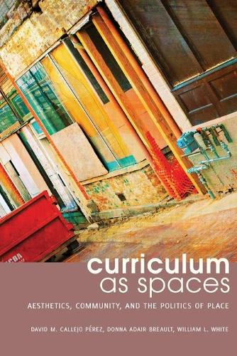 Бумажная книга «Curriculum as Spaces: Aesthetics, Community, and the Politics of Place», авторов Дэвид М. Кальехо Перес, Донна Адэр Брео - фото №1