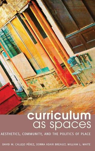 Бумажная книга «Curriculum as Spaces: Aesthetics, Community, and the Politics of Place», авторов Дэвид М. Кальехо Перес, Донна Адэр Брео, Уильям Уайт - фото №1