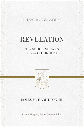 Бумажная книга «Revelation: The Spirit Speaks to the Churches», автор Джеймс М. Гамильтон-младший - фото №1
