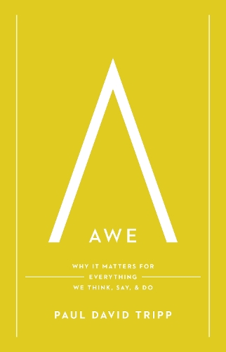 Бумажная книга «Awe: Why It Matters for Everything We Think, Say, and Do», автор Пол Дэвид Трипп - фото №1