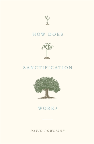 Паперова книга «How Does Sanctification Work?», автор Девід Паулісон - фото №1