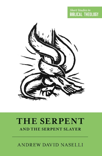 Бумажная книга «The Serpent and the Serpent Slayer», автор Эндрю Дэвид Населли - фото №1