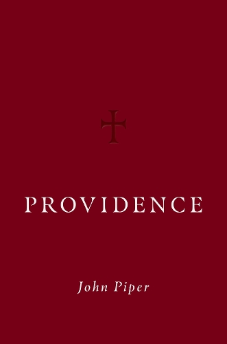 Бумажная книга «Providence», автор Джон Пайпер - фото №1