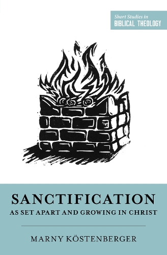 Паперова книга «Sanctification as Set Apart and Growing in Christ», автор Маргарет Елізабет Кьостенбергер - фото №1