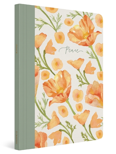 Бумажная книга «ESV Prayer Journal: 30 Days on Peace (Paperback)», автор Эрика Аллен - фото №1