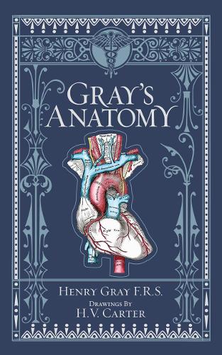 Бумажная книга «Gray's Anatomy (Barnes & Noble Collectible Editions)» - фото №1