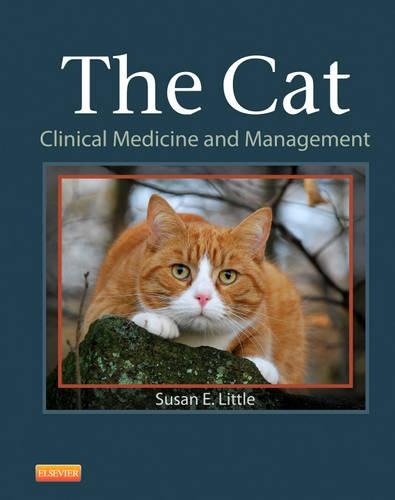 Паперова книга «The Cat: Clinical Medicine and Management», автор Сюзан Е. Літтл - фото №1