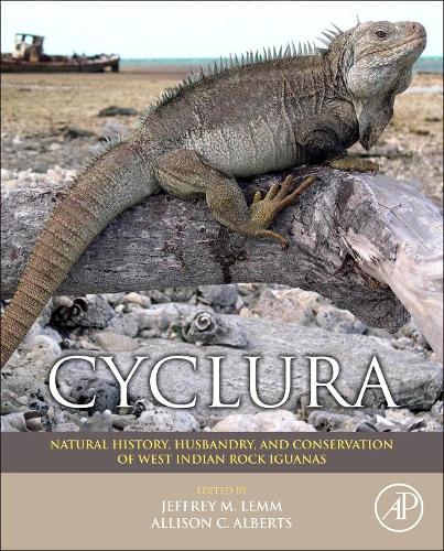 Бумажная книга «Cyclura: Natural History, Husbandry, and Conservation of West Indian Rock Iguanas», авторов Эллисон К. Альбертс, Джеффри Лемм - фото №1