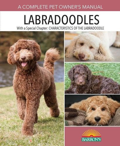 [object Object] «Labradoodles», автор Джоан Г'юстас Вокер - фото №1