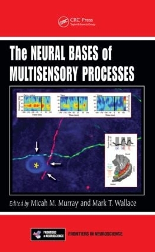 Бумажная книга «The Neural Bases of Multisensory Processes» - фото №1