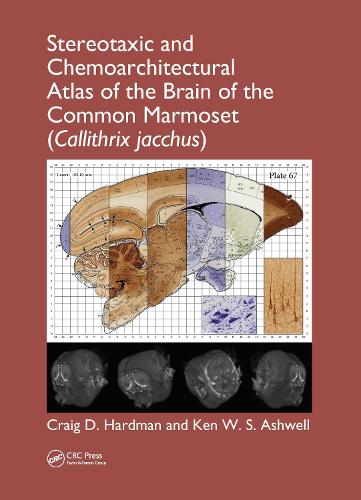Бумажная книга «Stereotaxic and Chemoarchitectural Atlas of the Brain of the Common Marmoset (Callithrix jacchus)», авторов Крейг Д. Хардман, Кен У. С. Эшвелл - фото №1