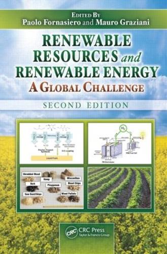 Бумажная книга «Renewable Resources and Renewable Energy: A Global Challenge, Second Edition» - фото №1