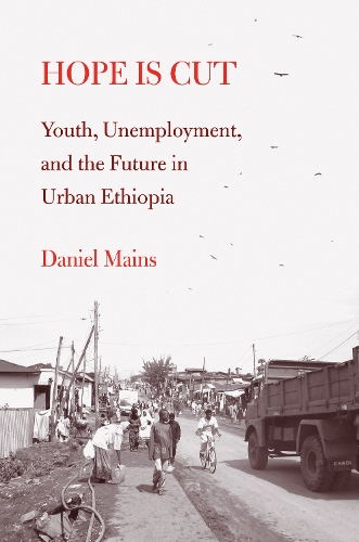 Бумажная книга «Hope Is Cut: Youth, Unemployment, and the Future in Urban Ethiopia», автор Дэниел Мейнс - фото №1
