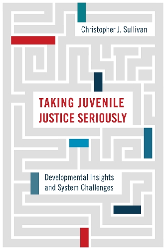 Бумажная книга «Taking Juvenile Justice Seriously: Developmental Insights and System Challenges», автор Кристофер Дж. Салливан - фото №1