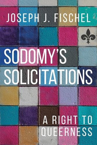 Бумажная книга «Sodomy's Solicitations: A Right to Queerness», автор Джозеф Дж. Фишель - фото №1