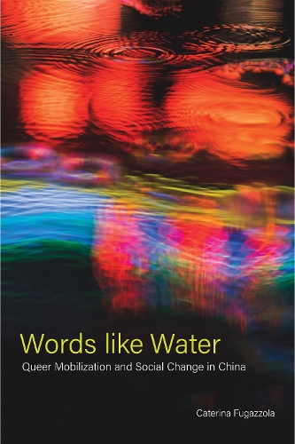 Бумажная книга «Words like Water: Queer Mobilization and Social Change in China», автор Катерина Фугаццола - фото №1