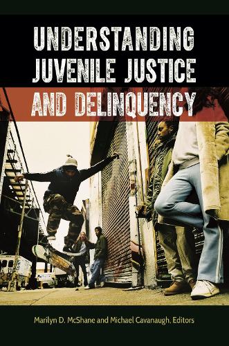 Бумажная книга «Understanding Juvenile Justice and Delinquency», авторов Мэрилин Д. Макшейн, Майкл Кавано - фото №1