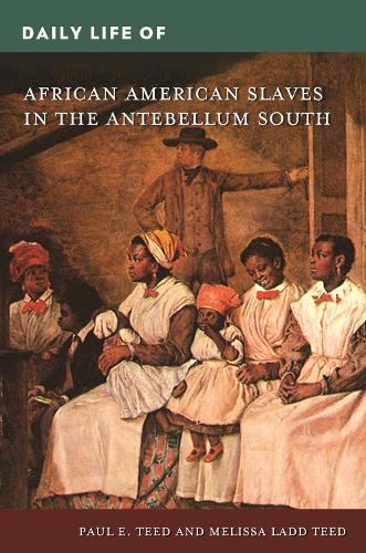 Бумажная книга «Daily Life of African American Slaves in the Antebellum South», авторов Мелисса Лэдд Тид, Пол Э. Тид - фото №1