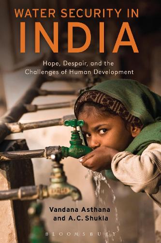 Бумажная книга «Water Security in India: Hope, Despair, and the Challenges of Human Development» - фото №1
