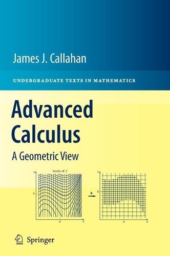 [object Object] «Advanced Calculus: A Geometric View», автор Джеймс Дж. Каллахан - фото №1