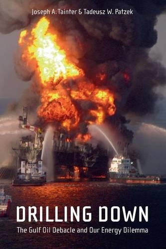 Бумажная книга «Drilling Down: The Gulf Oil Debacle and Our Energy Dilemma», авторов Джозеф А. Тейнтер, Тадеуш В. Пацек - фото №1