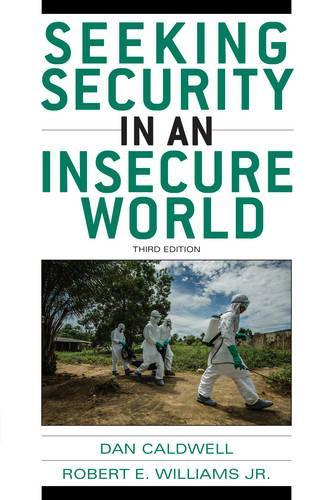 Бумажная книга «Seeking Security in an Insecure World», авторов Дэн Колдуэлл, Роберт Э. Уильямс - фото №1