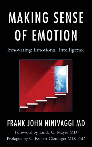 Бумажная книга «Making Sense of Emotion: Innovating Emotional Intelligence», автор Фрэнк Джон Ниниваджи - фото №1