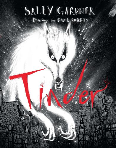 Паперова книга «Tinder», автор Саллі Гарднер - фото №1