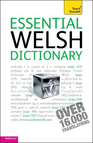 Бумажная книга «Essential Welsh Dictionary: Teach Yourself», автор Эдвин Льюис - фото №1