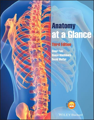 [object Object] «Anatomy at a Glance», авторов Дэвид Моффат, Омар Фаиз - фото №1