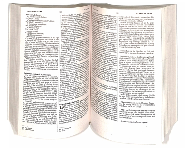 Бумажная книга «NIV Holy Bible. Anglicised Black Gift and Award», автор New International Version - фото №1