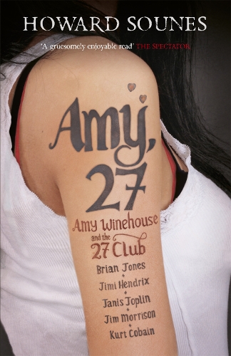 Бумажная книга «Amy, 27», автор Говард Соунес - фото №1