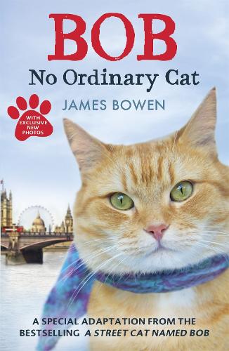 Бумажная книга «Bob: No Ordinary Cat», автор Джеймс Боуэн - фото №1