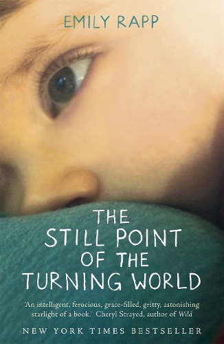 Паперова книга «The Still Point of the Turning World», автор Емілі Рапп - фото №1