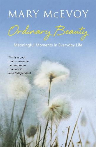 Паперова книга «Ordinary Beauty: Meaningful Moments in Everyday Life», автор Мері Мак’евої - фото №1