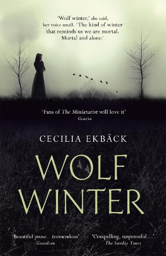 Бумажная книга «Wolf Winter: Winner of the 2016 HWA Goldsboro Debut Crown Award», автор Сесилия Экбек - фото №1