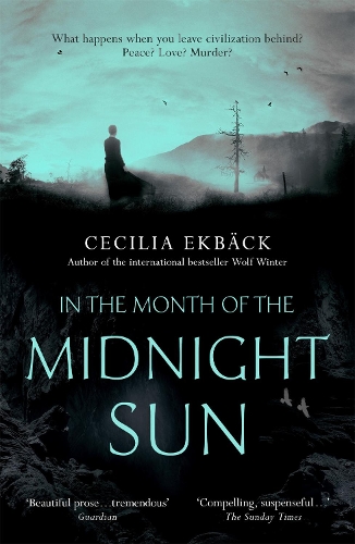 Паперова книга «In the Month of the Midnight Sun», автор Сесілія Екбек - фото №1