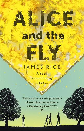 Паперова книга «Alice and the Fly: 'a darkly quirky story of love, obsession and fear' Anna James», автор Джеймс Райс - фото №1