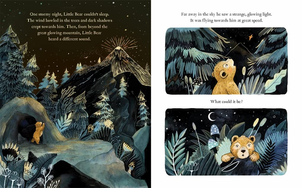 Паперова книга «The Magic Feather», автор Сандра Дікманн - фото №1