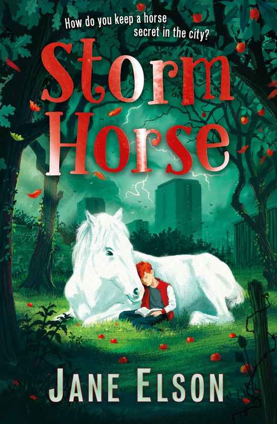 Бумажная книга «Storm Horse», автор Джейн Элсон - фото №1