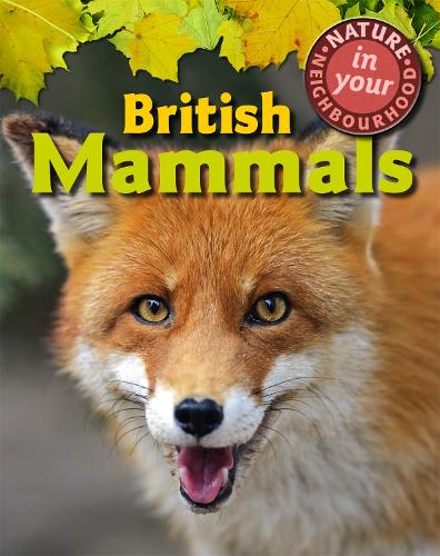 Паперова книга «Nature in Your Neighbourhood: British Mammals», автор Клер Коллінсон - фото №1