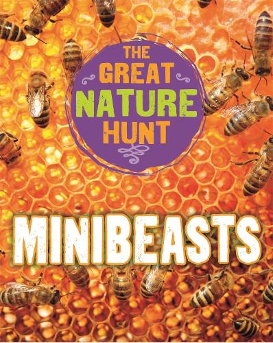 Паперова книга «The Great Nature Hunt: Minibeasts», автор Кет Сенкер - фото №1